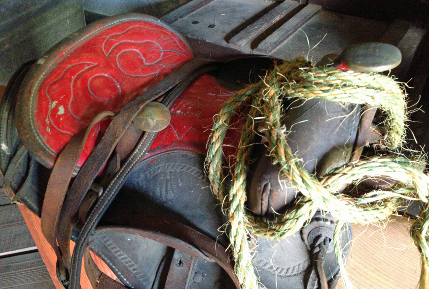  Barberville's Pioneer Settlement saddle
