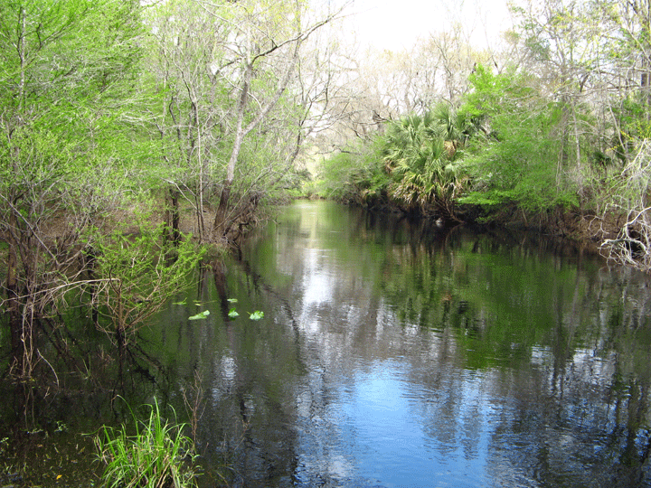 Steinhatchee River Old Florida