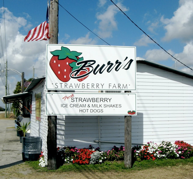 Burr's Strawberry stand the Redland