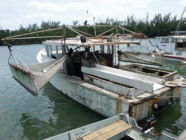 Jimbo's Miami