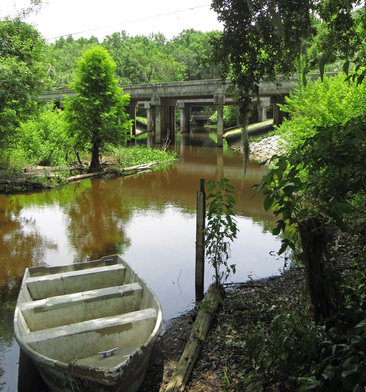 Newnans Lake