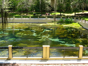Salt Springs Florida