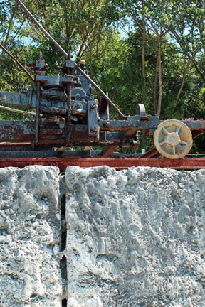 Windley Key Geological State Park 