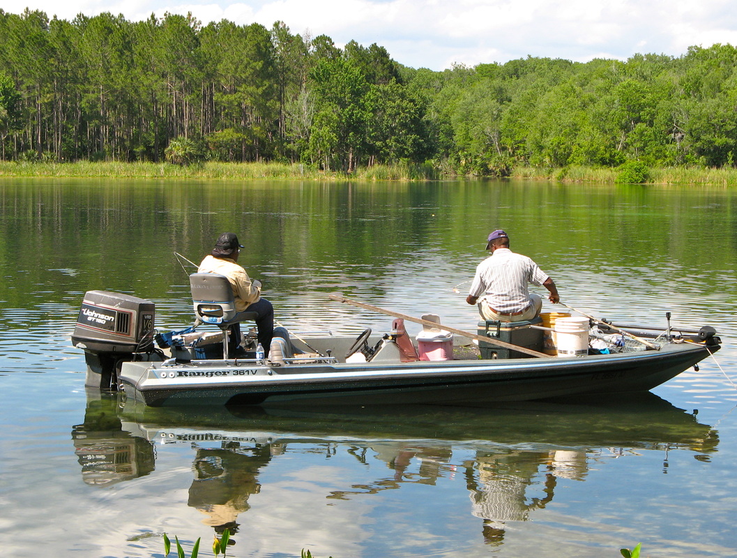Salt Springs Florida
