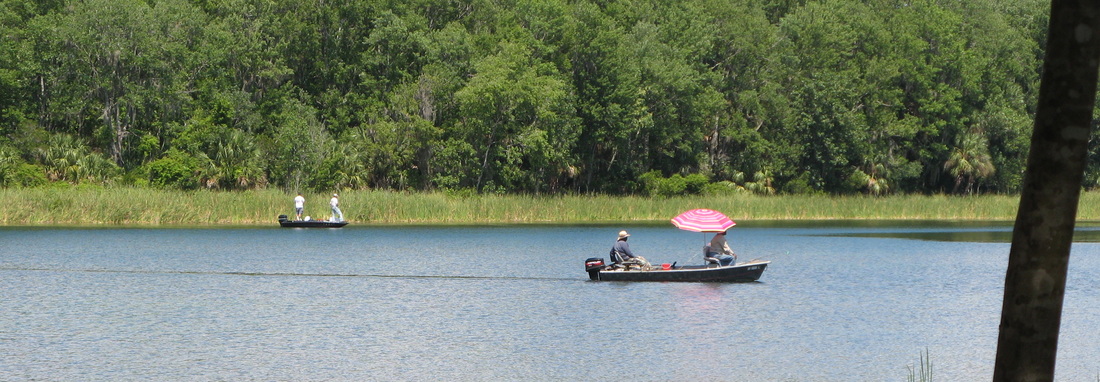 Salt Springs Florida