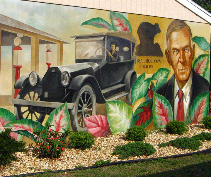 Mural Lake in Placid Florida